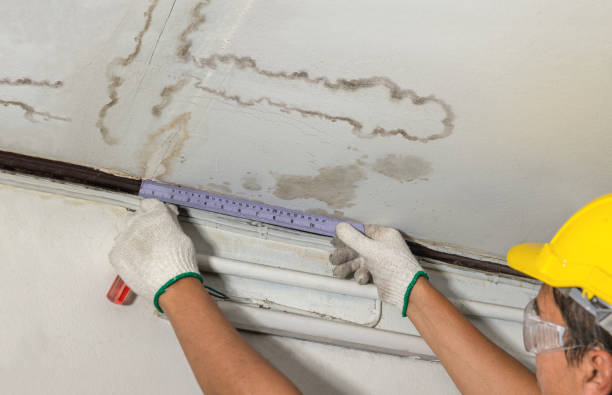 Reliable Structural Drying contractor in White Castle, LA by Water Damage Irwin